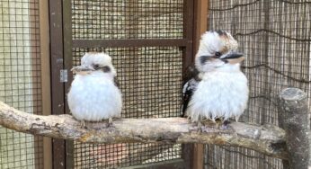夫婦喧嘩は冷戦の使い方がカギ！長引かせないコツ5つ