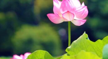 彼女は怒らないのが理想！怒りと付き合い方が上手な人の特徴とは